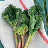 FLW: Thick Linen Kitchen Cloth - Natural Navy/ Red