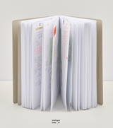 AK 2026: Daily Diary