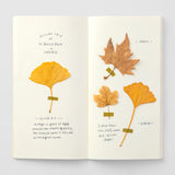 025 Refill MD Paper Cream Notebook (Regular Size)