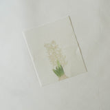 Sekihando x Classiky: Washi Paper