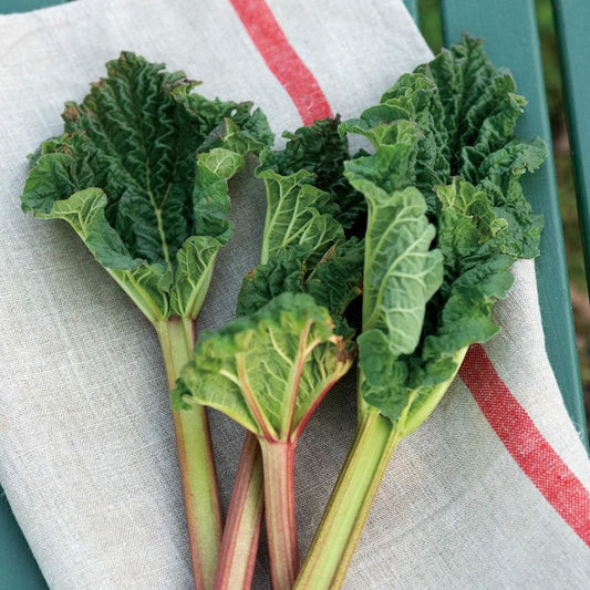 FLW: Thick Linen Kitchen Cloth - Natural Navy/ Red