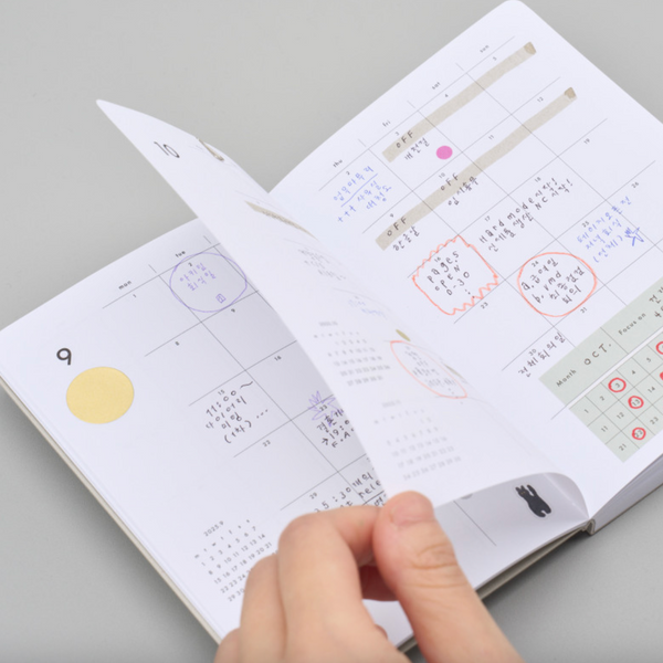 AK 2026: Weekly Diary