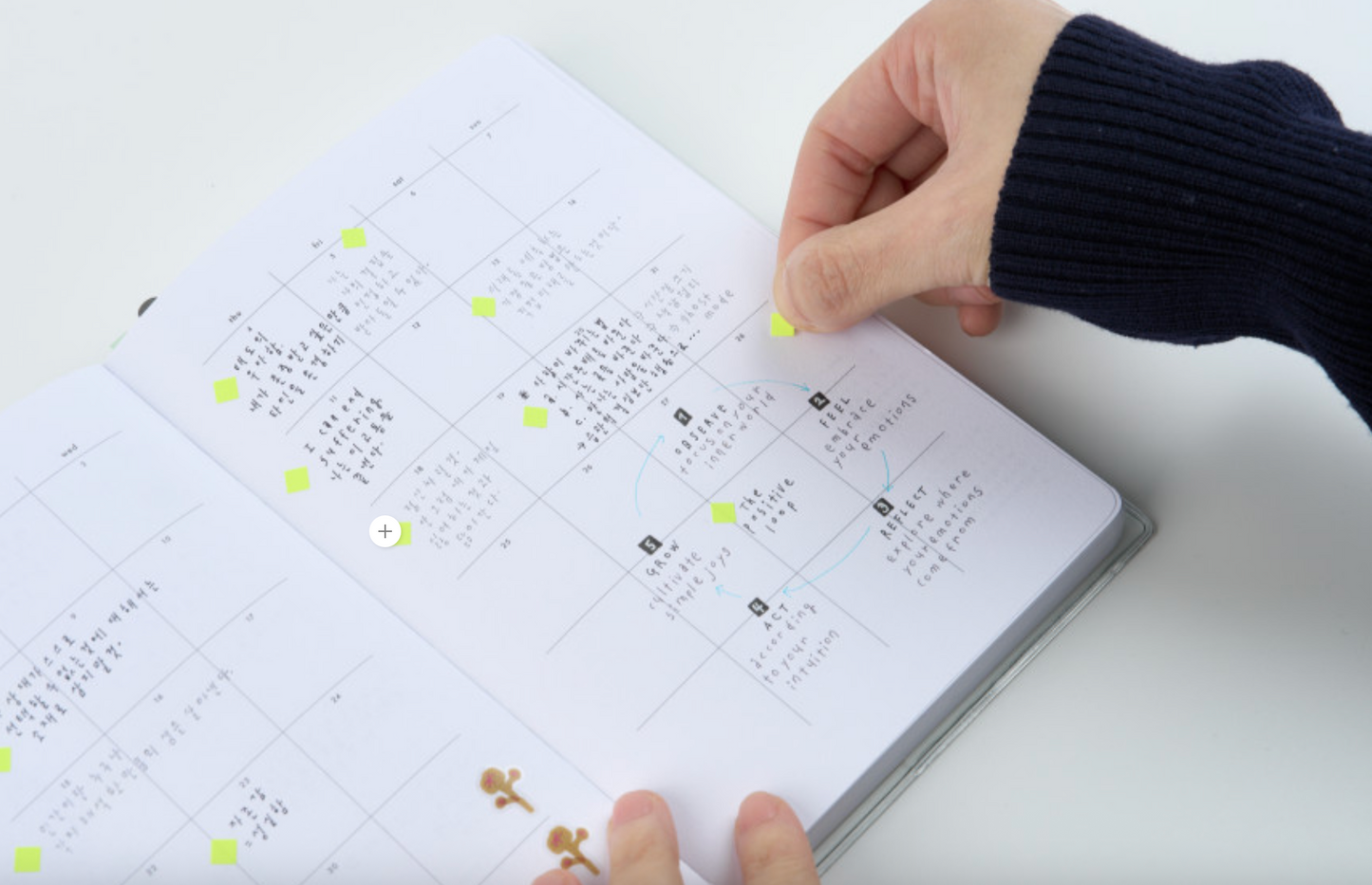 AK 2026: Daily Diary