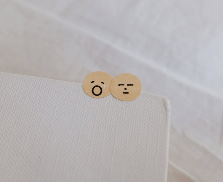 Suatelier Stickers: Lively Days