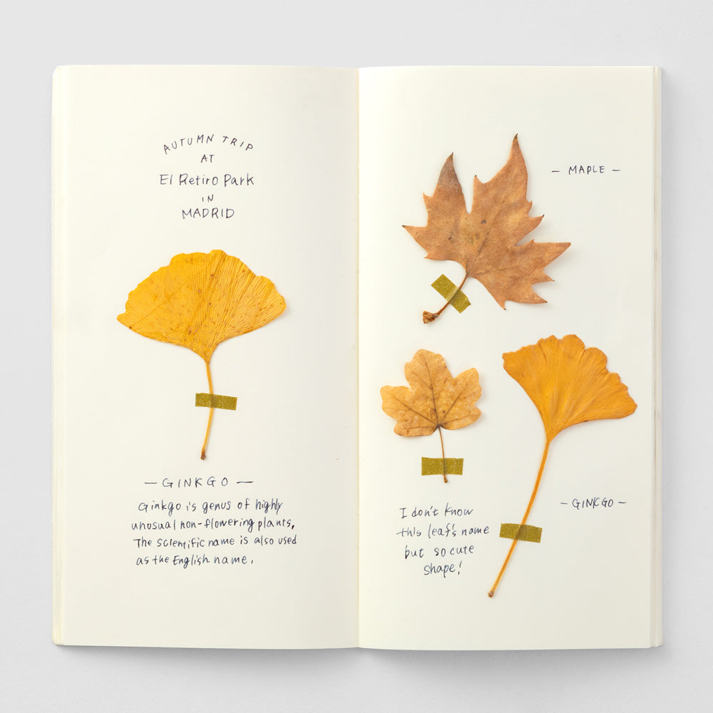 025 Refill MD Paper Cream Notebook (Regular Size)