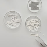 PC x Phavourite: 9pt.(3) Tiny Text Rubber Stamps [18 options]