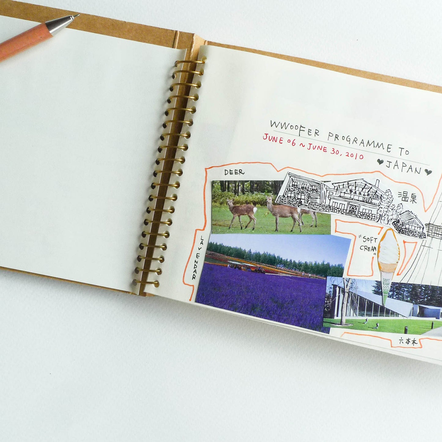 SPIRAL RING NOTEBOOK: Paper Pocket