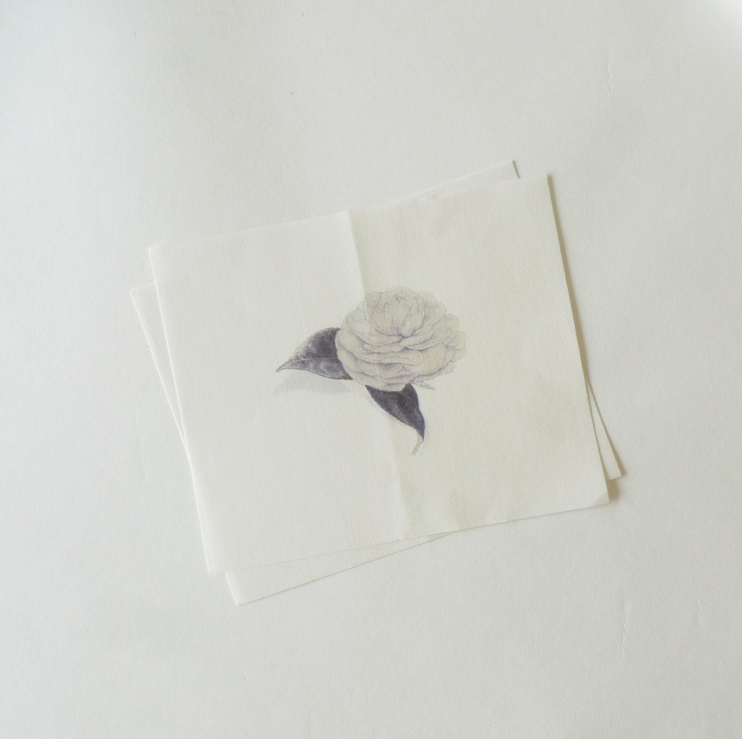 Sekihando x Classiky: Washi Paper
