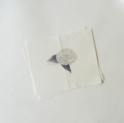 Sekihando x Classiky: Washi Paper