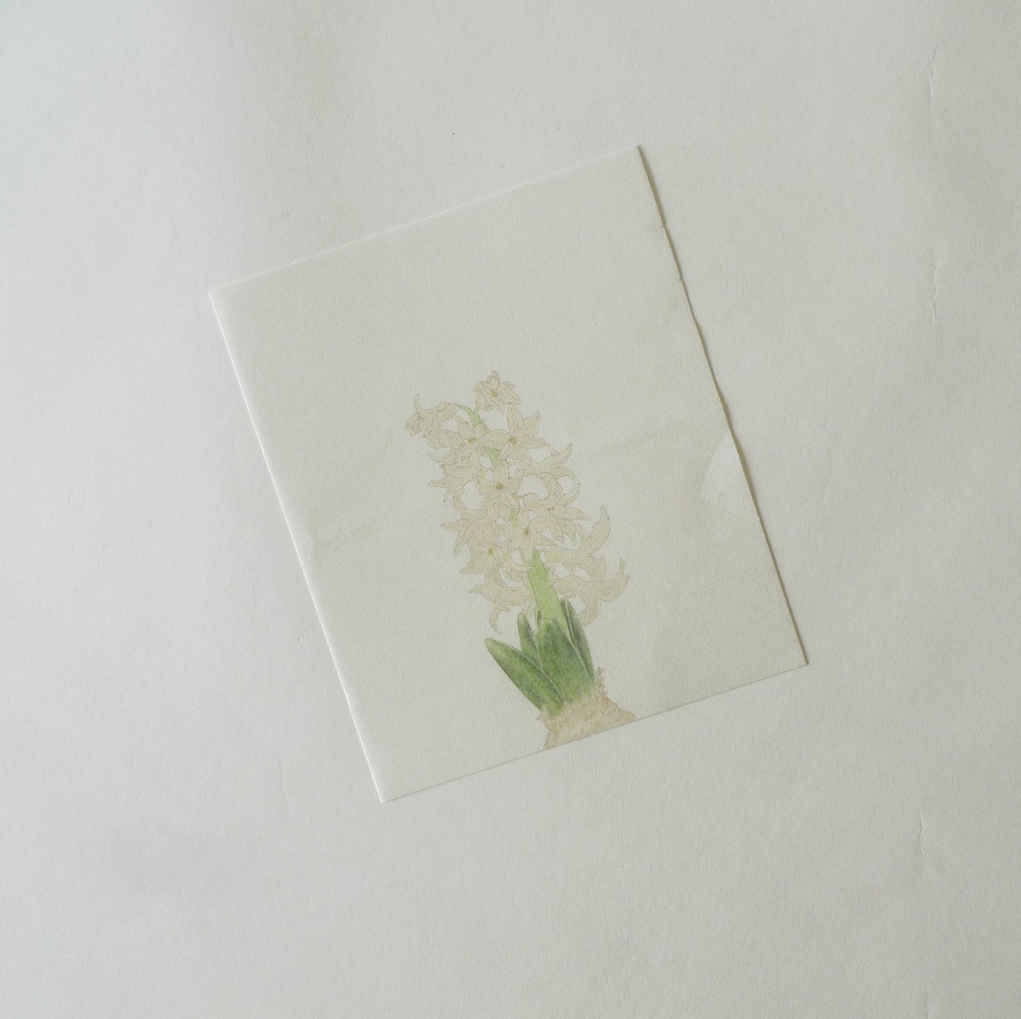 Sekihando x Classiky: Washi Paper