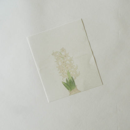 Sekihando x Classiky: Washi Paper