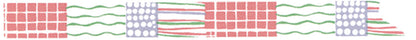 Mihoko Seki x Classiky Washi Tape: Textile 15mm